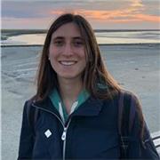 Offro lezioni private di diritto a chiunque ne abbia bisogno